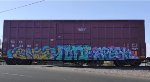 SCFX 115383